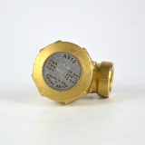 Dampfentlüfter 1/2" Spirax Sarco AV13